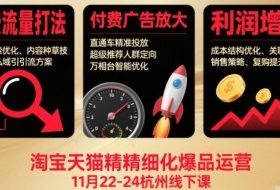 淘宝天猫精细化爆品运营11月22-24杭州线下课，免费流量打法+付费广告放大+利润增长（音频+文档）