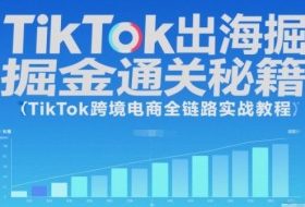 TikTok出海掘金通关秘籍，TikTok跨境电商全链路实战教程