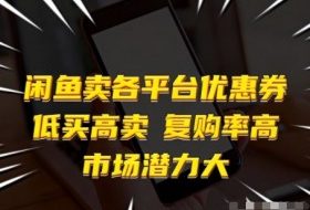闲鱼卖各平台优惠券，低买高卖，复购率高，市场潜力大