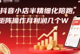 抖店半精细化铺货【1期+2期】，抖音小店半精细化陪跑，矩阵操作月利润几个W（更新12月）