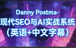 Danny Postma·现代SEO与AI实战系统(英语+中文字幕)