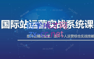 白老师·国际站运营实战系统(高质量询盘增长课)(部分更新)