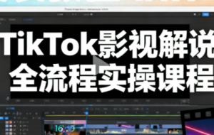 凌帧·TikTok影视解说全流程实操