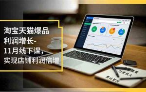 （16824期）淘宝天猫爆品利润增长-11月线下课，免费流量、付费放大、费比管控，实现店铺利润倍增