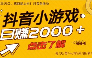 (16832期)25年爆火的抖音小游戏项目,一部手机日入2000➕