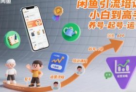 闲鱼引流培训,小白到高手,养号-起号-运营