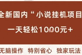 全新国内小说挂G项目,多窗口无脑跑,一天轻松1k+,特别省心【揭秘】