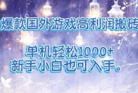 爆款国外游戏高利润搬砖项目，单机轻松1k+，新手小白也可入手【揭秘】