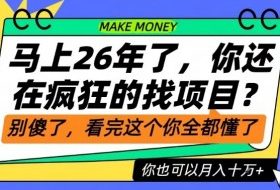 26年了,不要再疯狂的找项目了,看完这个你也可以月入十个W【揭秘】
