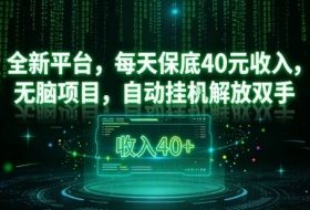 全新平台,每天保底40米收入,无脑项目,自动挂G解放双手【揭秘】