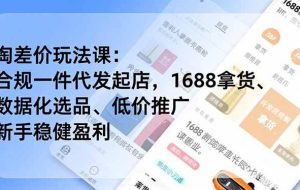 (16854期)淘差价玩法课:合规一件代发起店,1688拿货、数据化选品、低价推广,新手稳健盈利(更新12月)