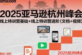 2025亚马逊杭州峰会,线上特训营基础+线上特训营进阶(文档+视频)