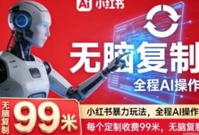 小红书暴力玩法,全程AI操作,每个定制收费99米,无脑复制