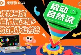 视频号纯直播底层逻辑+微付费撬动自然流