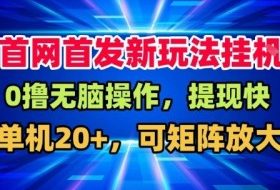 全网首发挂G，盒子自动賺米，单机20+，可矩阵放大，长期稳定运营【揭秘】
