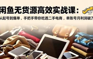 (16875期)闲鱼无货源高效实战课:从起号到爆单,手把手带你吃透二手电商,单账号月利润破万