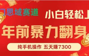 (16881期)年前爆火项目,每单可以赚个300-2000,5天赚了7300