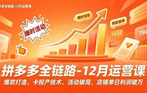 (16884期)拼多多全链路-12月运营课,爆款打造、卡投产技术、活动破局,店铺单日利润破万