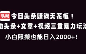 (16888期)今日头条赚钱天花板!微头条+文章+视频三重暴利玩法,小白照搬也能日人2000+