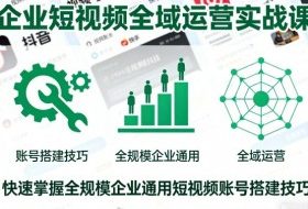 企业短视频全域运营实战课,快速掌握全规模企业通用短视频账号搭建技巧