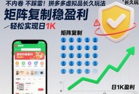 不内卷不踩雷!拼多多虚拟品长久玩法,矩阵复制稳盈利,轻松实现日1K【揭秘】