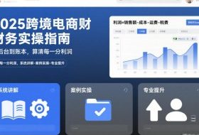 2025跨境电商财务实操指南,从后台到账本,算清每一分利润,系统讲解-案例实操-专业提升