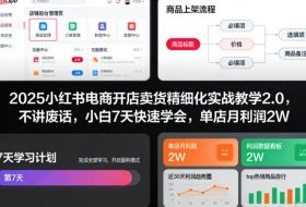 2025小红书电商开店卖货精细化实战教学2.0,不讲废话,小白7天快速学会,单店月利润2W