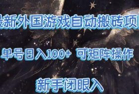 最新外国游戏自动搬砖项目,单号100+,可以矩阵操作,新手也可做【揭秘】