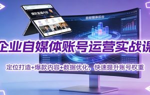 企业自媒体账号运营实战课:定位打造+ 爆款内容+数据优化,快速提升账号权重