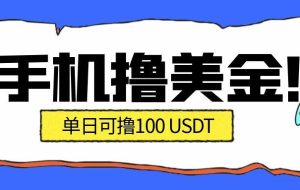 最新手机撸美金项目,单日产值100U+,2026年最新的风口项目
