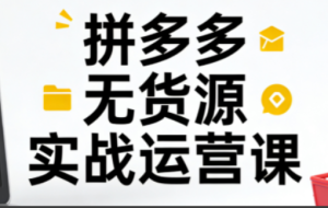 子枫老师·拼多多无货源实战运营课