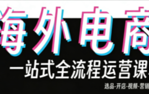 Demo老师·东南亚5国TikTok Shop运营课