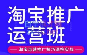 美迪电商·淘宝高级运营班+推广运营班（更新12月）