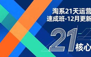 （16903期）淘系21天运营速成班-12月更新，能够快速复制落地，系统掌握淘系盈利运营的核心技能