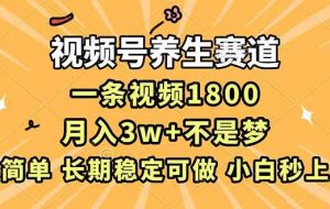 （16913期）视频号养生赛道，一条视频1800，超简单，长期稳定可做，月入3w+不是梦