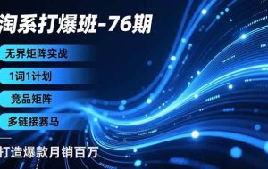 （16914期）淘系打爆班-76期，无界矩阵实战，1词1计划、竞品矩阵、多链接赛马，打造爆款月销百万