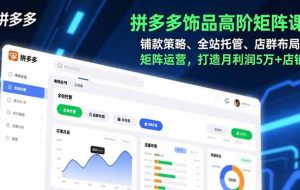 （16915期）拼多多饰品高阶矩阵课，铺款策略、全站托管、店群布局，矩阵运营，打造月利润5万+店铺
