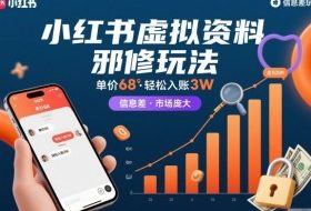 小红书虚拟资料邪修玩法，单价68，轻松入账3W，信息差玩法，市场庞大