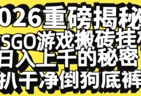 2026开年重磅解密，CSGO游戏搬砖挂G日入1k+的秘密，把倒狗的底裤扒干【揭秘】