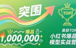 （16922期）小红书爆品模型实战营，从新品突围到成为类目TOP，可复制路径，打造多个营收百万级爆品