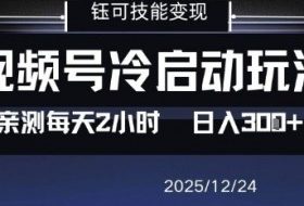 视频号分成计划冷启动玩法亲测每天2小时，0门槛副业项目，单号日入3张