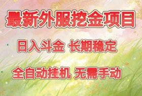 最新外服挖金项目，日入斗金，项目长期稳定，可放大操作，全自动运行，无需手动【揭秘】