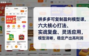 （16952期）拼多多可复制盈利模型课，六大核心打法、实战复盘、灵活应用，模型清晰，稳定产出高利润