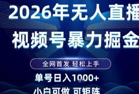 2026最新视频号无人直播掘金，全网首发，小白可以玩，长期稳定日入1k+【揭秘】