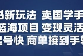 小红书新玩法，卖国学手机贴，蓝海项目，变现灵活，起号快，商单接到手软