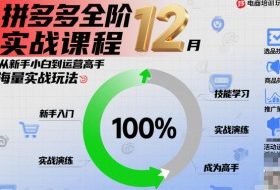 拼多多全阶实战课程12月，从新手小白到运营高手，海量实战玩法