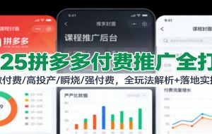 2025拼多多付费推广全打法：微付费/高投产/瞬烧/强付费，全玩法解析+落地实操
