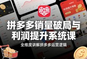 拼多多销量破局与利润提升系统课，全维度讲解拼多多运营逻辑