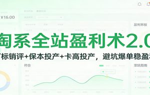 淘系全站盈利术2.0：打标销评+保本投产+卡高投产，避坑爆单稳盈利