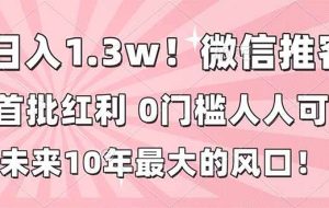 （16969期）日入1.3w！微信推客，首批红利，未来10年最大的风口，0门槛，人人可做！